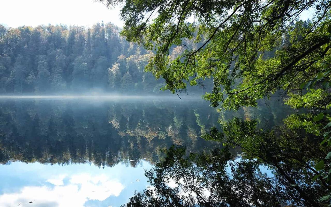 Ferienwohnung In Der Vulkaneifel "Opp Der Holl" Brockscheid ภายนอก รูปภาพ