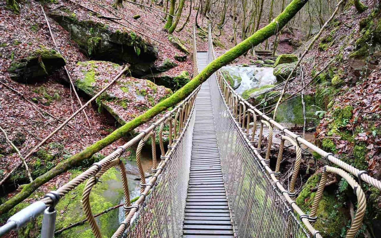 Ferienwohnung In Der Vulkaneifel "Opp Der Holl" Brockscheid ภายนอก รูปภาพ