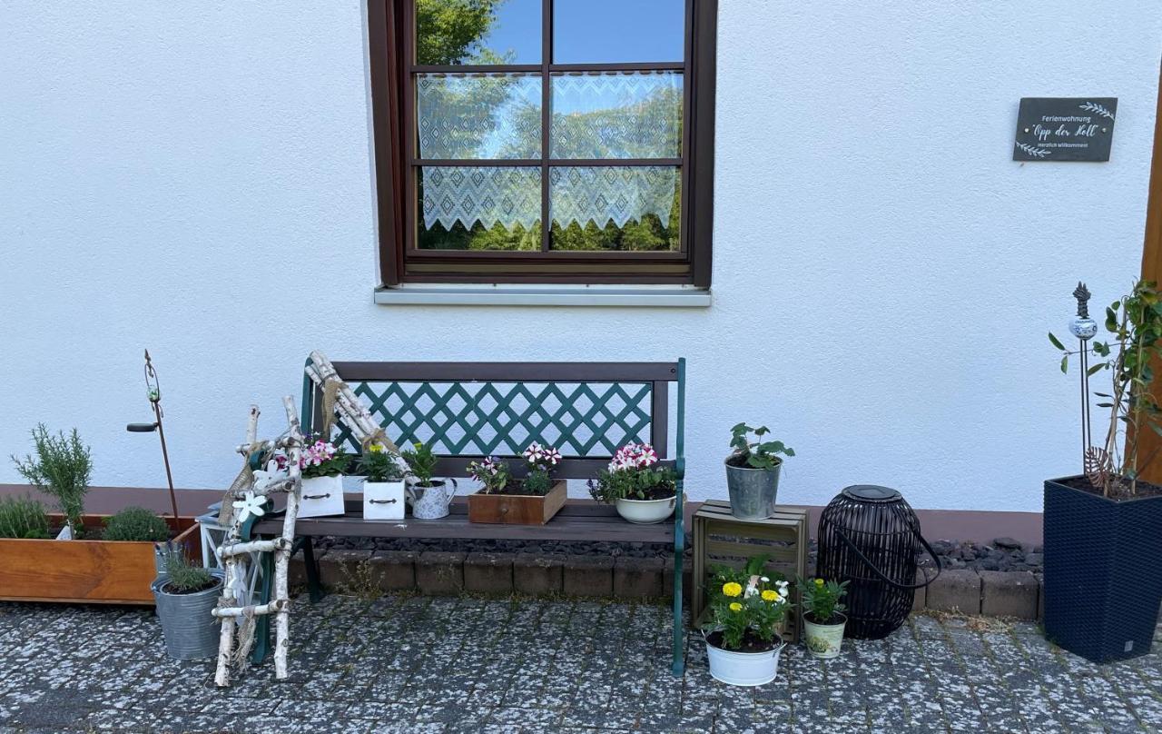 Ferienwohnung In Der Vulkaneifel "Opp Der Holl" Brockscheid ภายนอก รูปภาพ